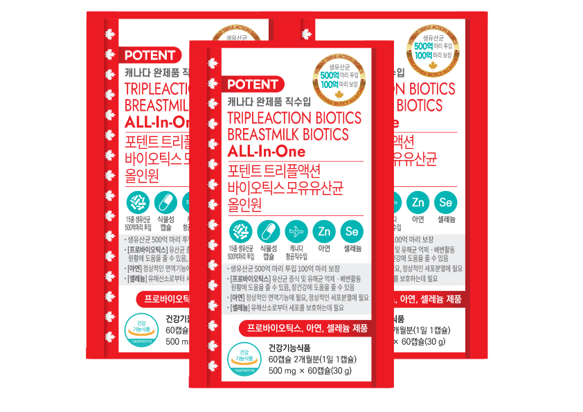 포텐트 유산균 6개월분